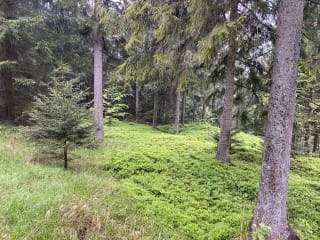 Štola Anna 2. | Zlaté Hory