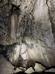 Jeskyně Lidomorna (Hladomorna) | Holštejn