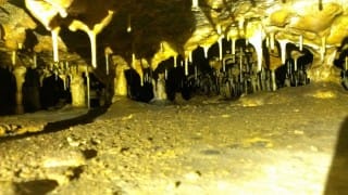 Holštejnská jeskyně | Holštejn