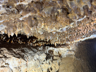 Holštejnská jeskyně | Holštejn