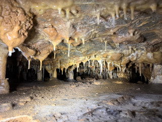 Holštejnská jeskyně | Holštejn