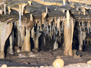 Holštejnská jeskyně | Holštejn