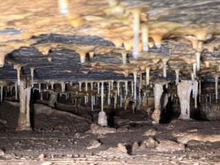 Holštejnská jeskyně | Holštejn