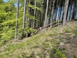 Štola Plaček | Zlaté Hory