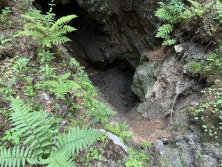 Ludvíkov 1. | Zlaté Hory, Karlova Studánka