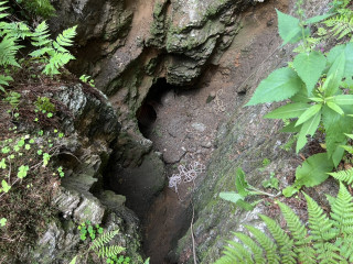 Ludvíkov 1. | Zlaté Hory, Karlova Studánka