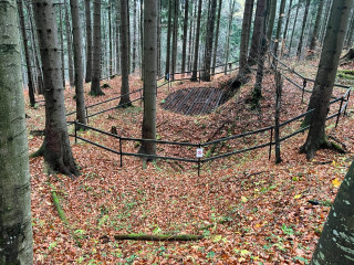 Štola Javorový vrch 7 | Zlaté Hory, Karlova Studánka
