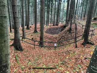 Štola Javorový vrch 7 | Zlaté Hory, Karlova Studánka