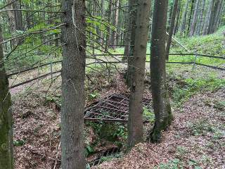 Jelení cesta - Gebrächenschacht | Zlaté Hory, Karlova Studánka