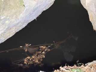 Štola 1 | Zlaté Hory, Karlova Studánka