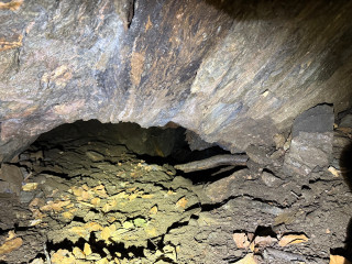 Štola 3 | Zlaté Hory, Karlova Studánka